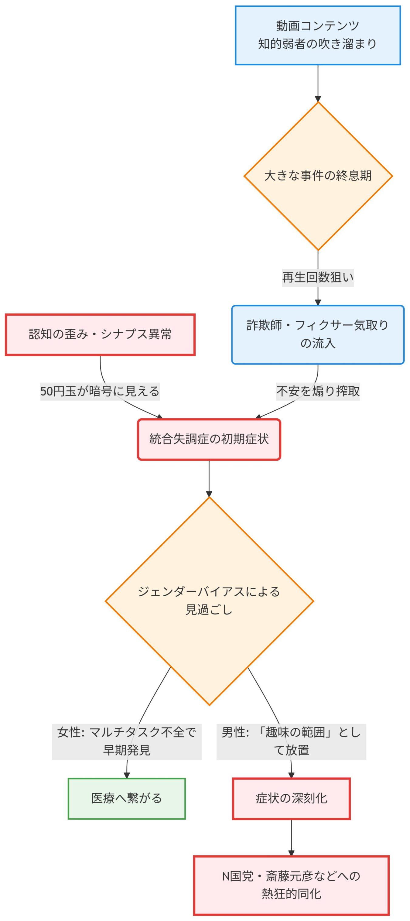 SNS等の動画コンテンツ視聴から、詐欺的誘導、精神疾患の初期症状、ジェンダーによる対応の差異を経て、特定の政治運動への熱狂に至るプロセスを図示したフローチャート。