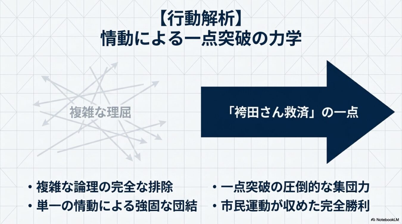 複雑な論理から袴田さん救済という一点への集約により、情動が圧倒的な集団力を生み出し勝利をもたらす力学を図解した資料。