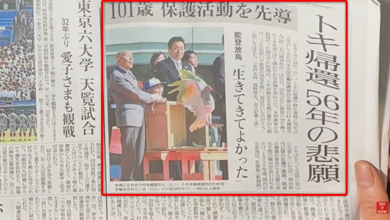 石川県能登で行われたトキの放鳥式典で、ケージから飛び立つトキを見守る101歳の村本義雄氏ら関係者の様子を報じる新聞記事。