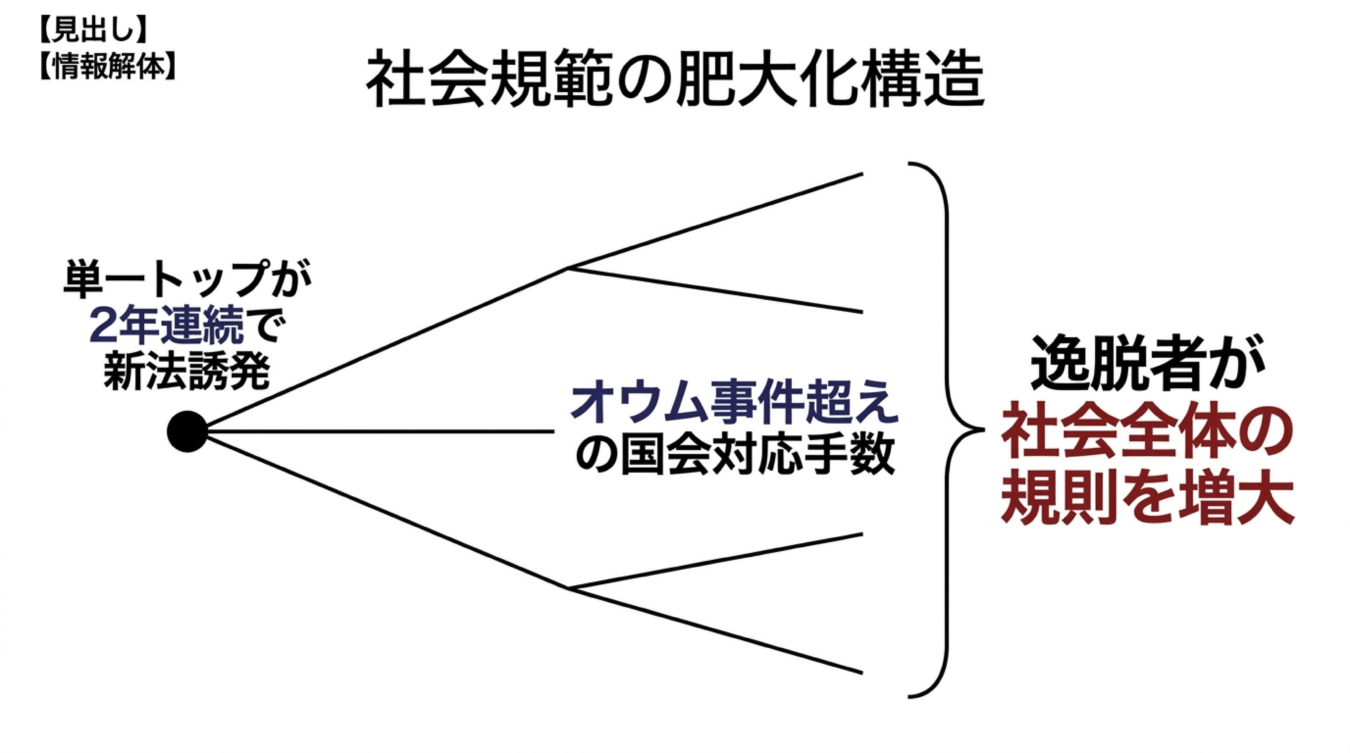 単一トップによる新法誘発や国会対応手数から社会規範の肥大化構造を示す図解