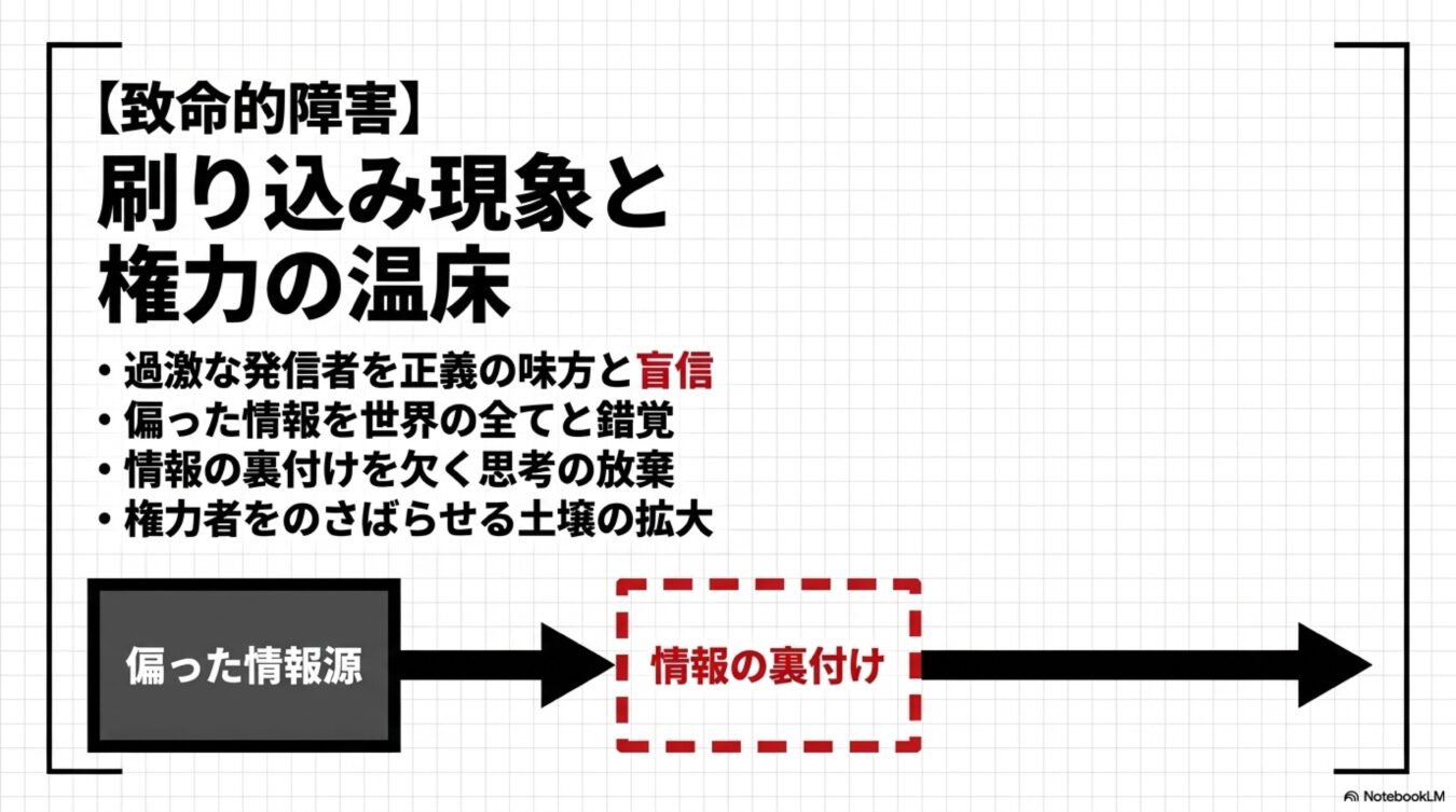 刷り込み現象と権力の温床について、偏った情報源から情報の裏付けへと至るプロセスと危険性を説明した図。